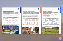 Telstra Sustainability In focus fact sheets